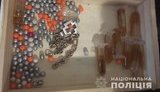 Правоохранители изъяли у дилеров в Павлограде крупную партию наркотиков на полмиллиона гривен, - полиция. ВИДЕО+ФОТОрепортаж