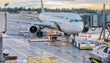 253 Ukraine citizens return home from U.S.