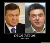 Обое рябое