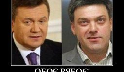 Обое рябое