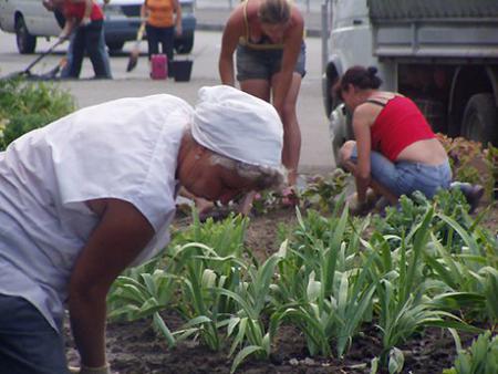 Цензор.НЕТ Изображение