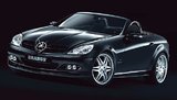У донецкого губернатора Шишацкого появился новенький Mercedes-Benz SLK 200. ФОТО