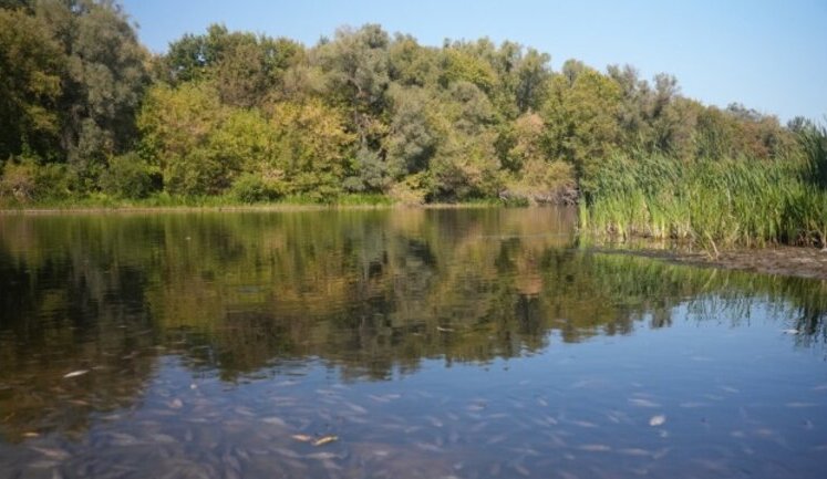 Міндовкілля: На Чернігівщині й надалі погіршується якість води у річці Сейм