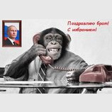 Президент Южной Осетии поздравил с избранием глав ДНР и ЛНР
