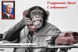 Президент Южной Осетии поздравил с избранием глав ДНР и ЛНР
