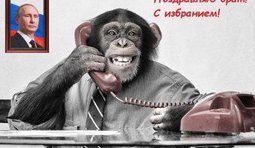 Президент Южной Осетии поздравил с избранием глав ДНР и ЛНР