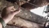 Russian man sets up tripwire against North Korean soldiers