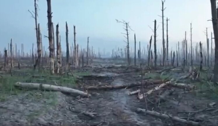 Ворог накопичує ресурси у Серебрянському лісі та хоче обійти Дронівку, - 81 оаембр