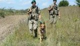 Прикордонники посилили заходи безпеки через вибухи на складах під Ічнею, - ДПСУ