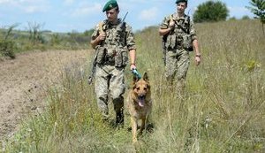Пограничники усилили меры безопасности из-за взрывов на складах под Ичней, - ГПСУ
