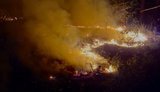 Російські удари випалили 84 гектари українських лісів за тиждень. ФОТО