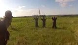 боевики сдаются