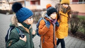 В Боснии антикоронавирусные ограничения признали неконституционными: нарушают права человека