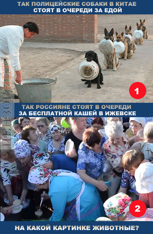 В мире животных