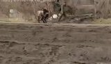 окупант тягне дорогою віслюка