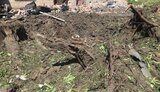 запорізька