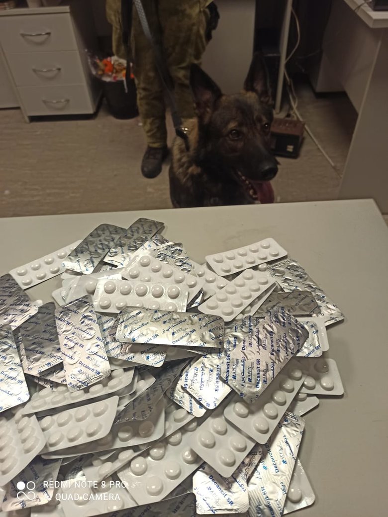 В Борисполе служебный пес нашел 2 тысячи запрещенных таблеток у двух мужчин, возвращавшихся из Шарм-эль-Шейха 02