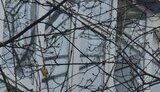 наслідки удару по Краматорську