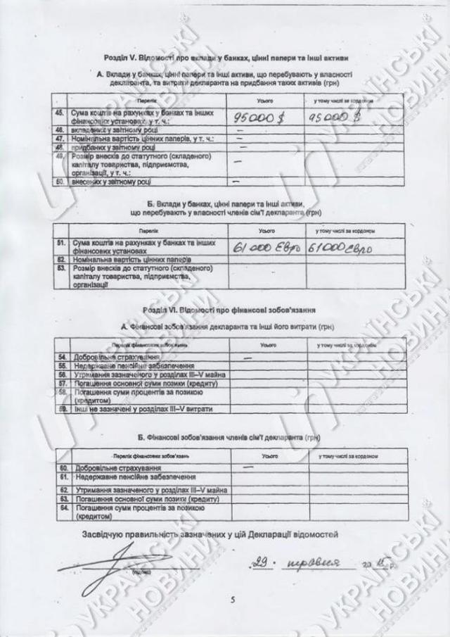 саакашвили декларация