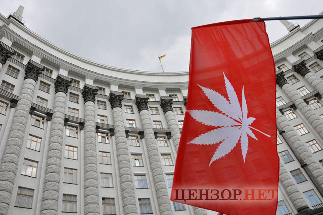 Начать научные исследования: под Кабмином требовали легализовать марихуану 09