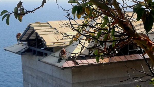 янукович межигорье