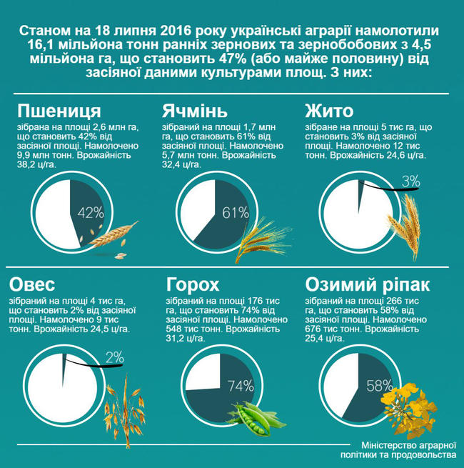 зерно