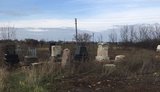 Частину поховань знищено, а поле засіяне кістками: в Запорізькій області старе єврейське кладовище розорали під посів. ВІДЕО+ФОТОрепортаж