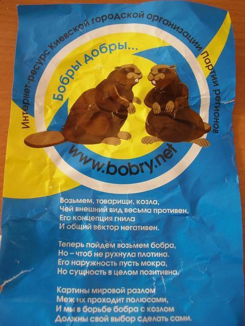 Киевские регионалы - бобры