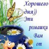 Мишка Серый