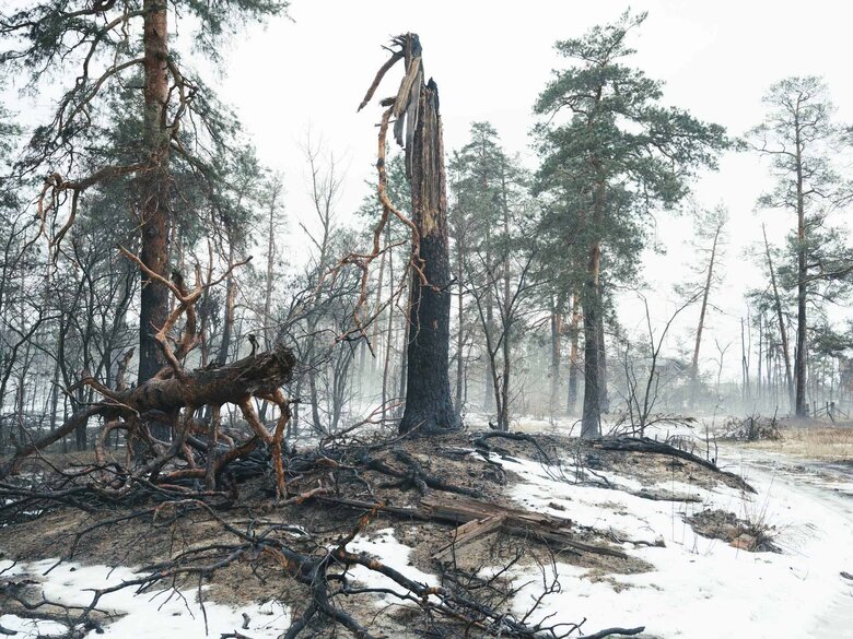 Війна — не привід для цензури, - інтерв’ю з фотографом Максимом Дондюком 03