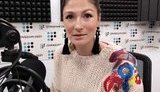 джапарова джапар джепар