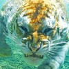 Станислав Ясько #268810