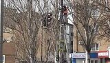 мелітополь