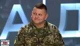 Планы возвращения военным путем Крыма и оккупированного Донбасса не разрабатывались, – Залужный. ВИДЕО