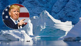 трамп,гренландия
