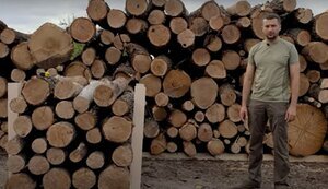 Ціни на дрова в Україні виросли майже вдвічі. Як вибрати паливо?