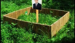 От благодарных пенсионеров