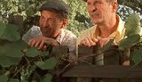 сваты