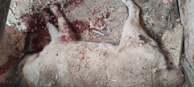 Enemy hit suburbs of Kherson again, 3 people were wounded 07