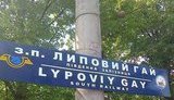 В Украине появилась железнодорожная станция "Липовый гей". ФОТО