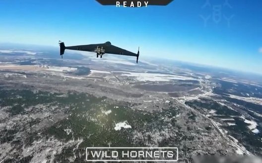 Майстерна посадка перехоплювача STING на російський БпЛА під час польоту. ВIДЕО