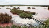 Екологічне лихо в Миколаївській області: річка Південний Буг забарвилася в червоний колір