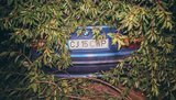 "Клянуся Аллахом, де, сука, твої документи, так він мені казав", - п