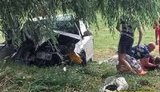 Жахлива ДТП під Луцьком: три людини загинули, зокрема дитина, ще 9 госпіталізовано, шестеро з яких - діти. ФОТО
