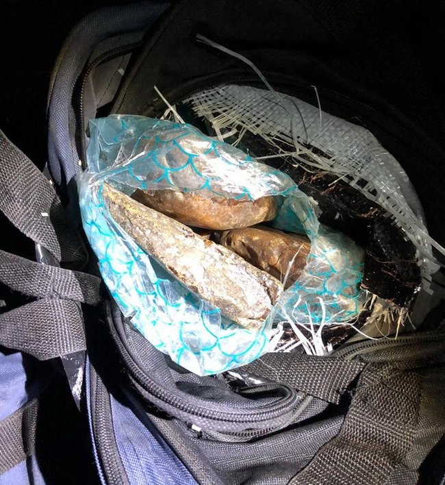 Спробу контрабанди в ЄС понад тонни бурштину блоковано на Закарпатті, - СБУ 04