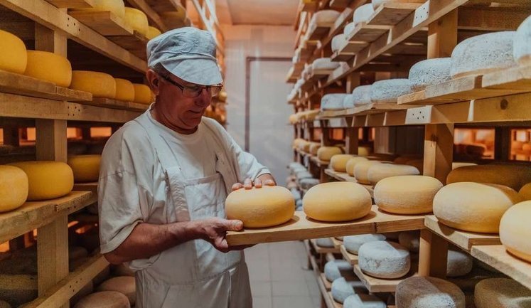 Виробництво твердих сирів в Україні скорочується через конкуренцію з імпортом