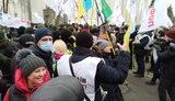 Рада не голосувала за поправку, через яку ФОПівці вийшли на протести: якось так трапилося в комітеті Гетманцева, що вона збереглася в законі, - Тимошенко