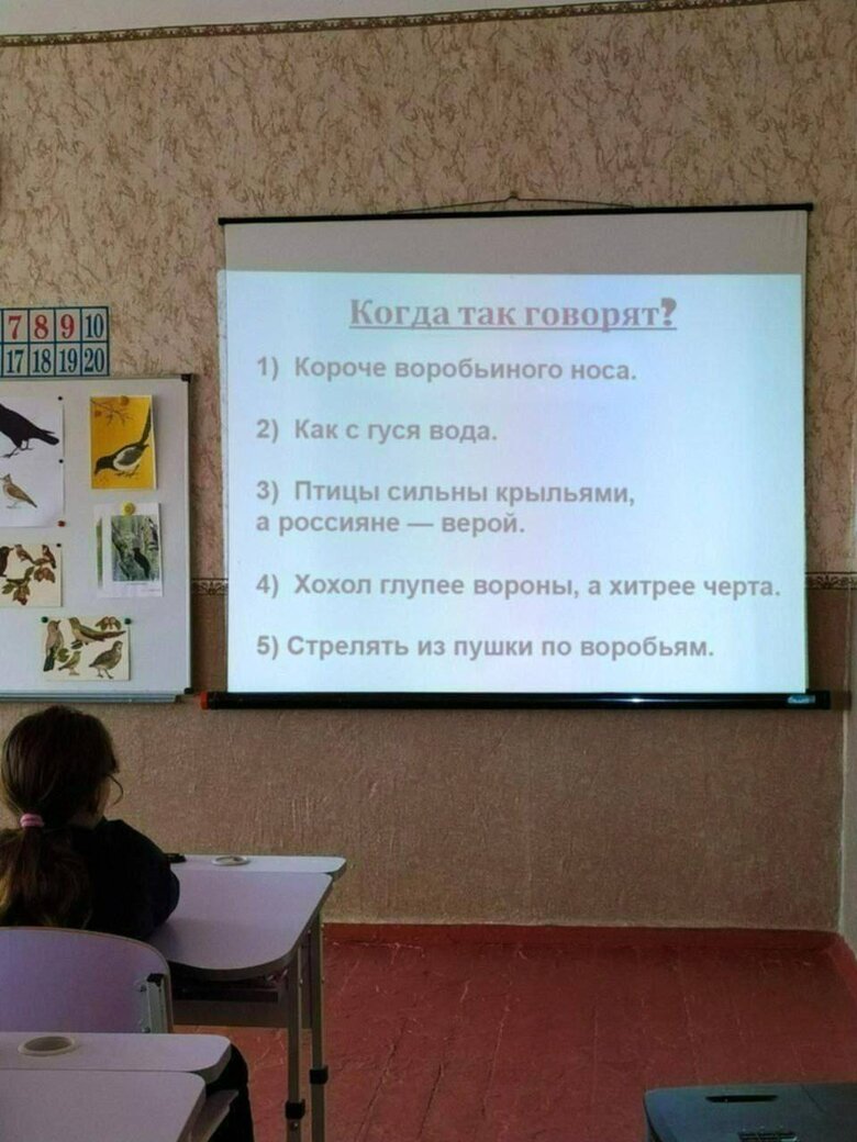 Хохол глупее вороны, - урок в школі на окупованій частині Запорізької області 01
