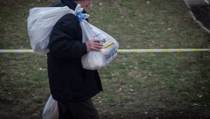 Половина зарегистрированных переселенцев проживают на оккупированной территории, – министерство