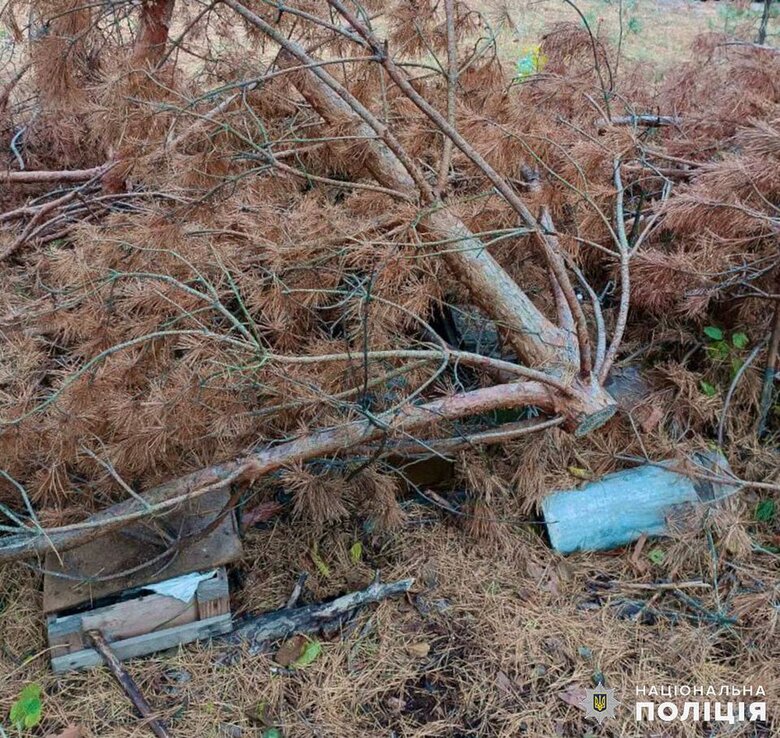 Mushroom picker found ammunition depot in forest in Zhytomyr region, - Ministry of Internal Affairs 03